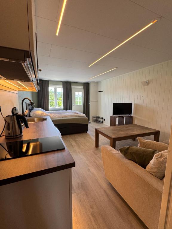 a kitchen and living room with a couch and a table at Cozy mini-apartment with kitchen in Åmot
