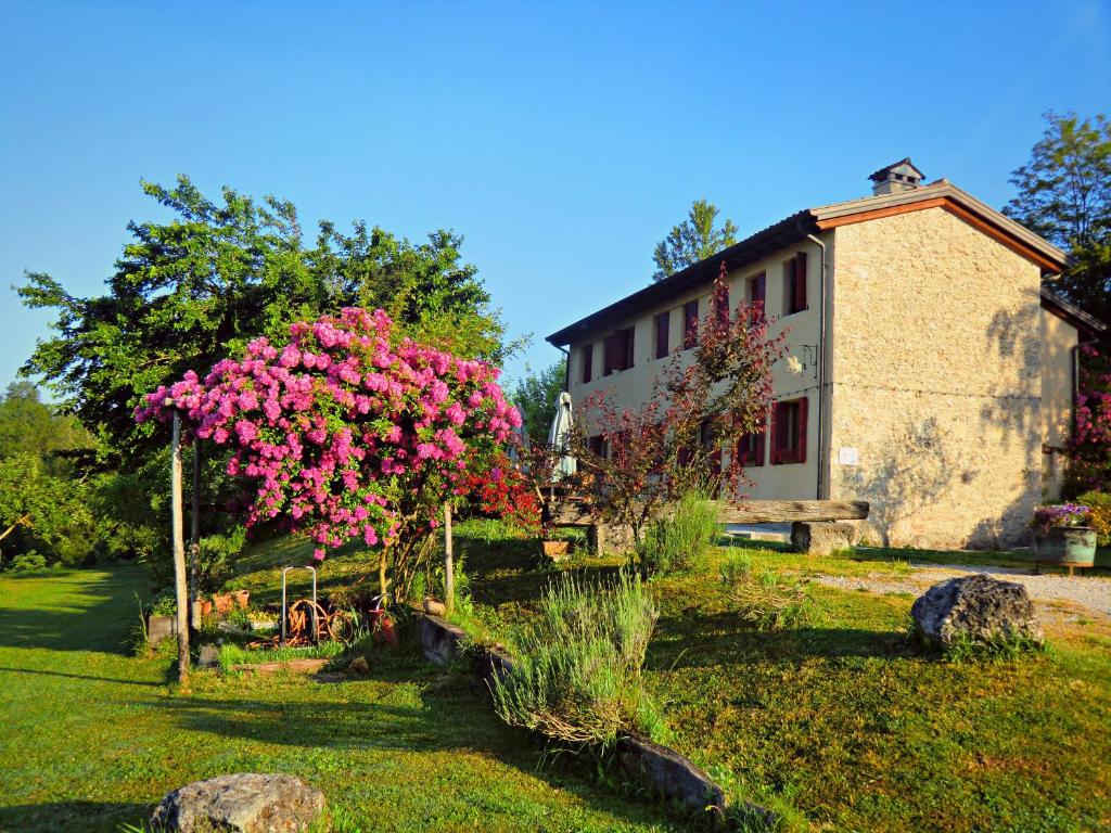 A garden outside Ca Borgh