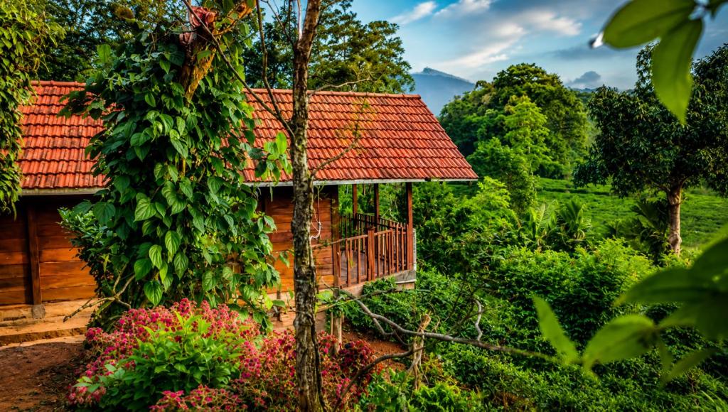 a house with a red roof in a garden at Sinharaja Forest Lodge - Deniyaya in Dombagoda