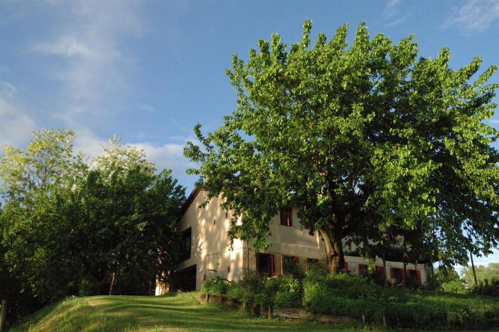 un edificio con un árbol delante de él en Ca Borgh, en Santa Maria di Feletto