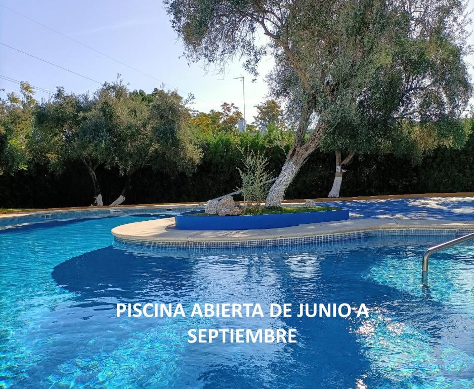 a swimming pool in a park with a tree at Relax a un paso de Sevilla in Valencina de la Concepción