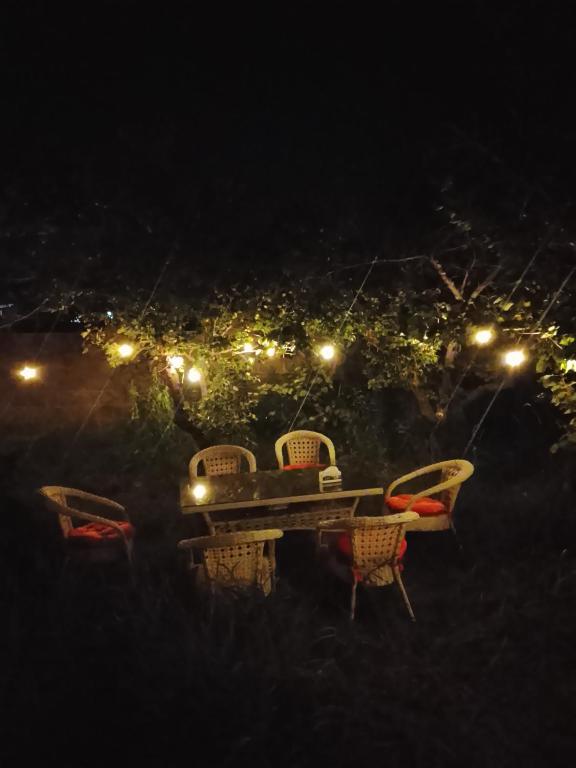a picnic table and chairs at night with lights at Madriel Eko Retreat in Bokonbayevo