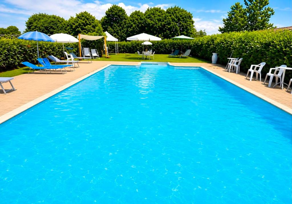 a large swimming pool with chairs and umbrellas at BUONUMORE-la QUIETE in Acquapendente