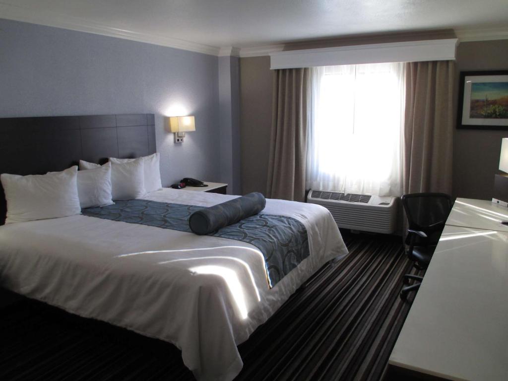 Best Western Plus Diamond Valley Inn - Camera Queen Con Doccia Con Accesso Disabili
