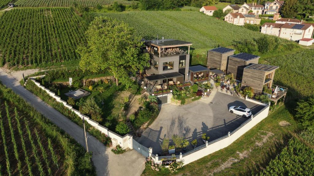 an aerial view of a house in a vineyard at COTTAGES ANTOINETTE in Chigny-les-Roses