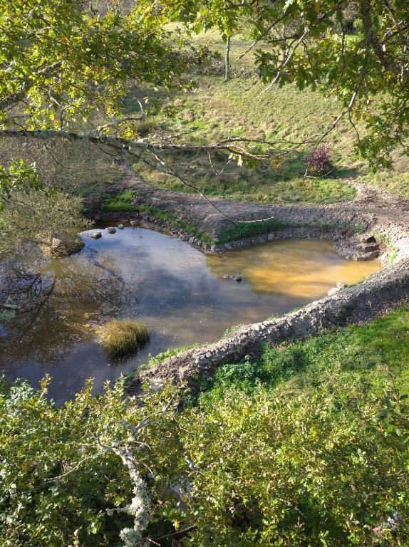 a small pool of water in a field at Voyage Spatio-Temporel in Poussanges