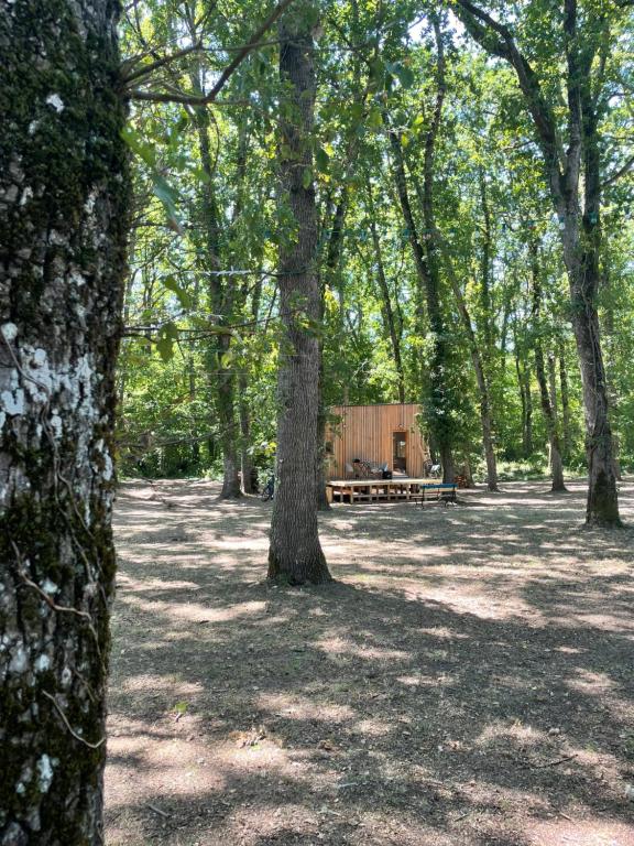 a picnic table in the middle of a park with trees at Tiny housse in Conne-de-Labarde