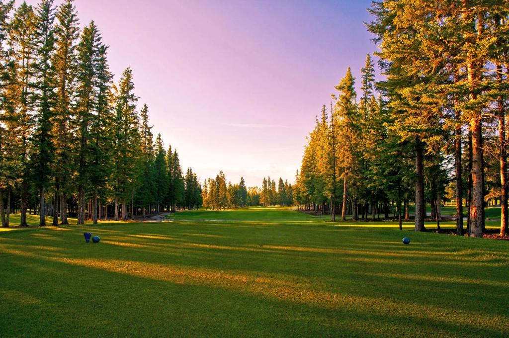 Golf v hotelu nebo okolí