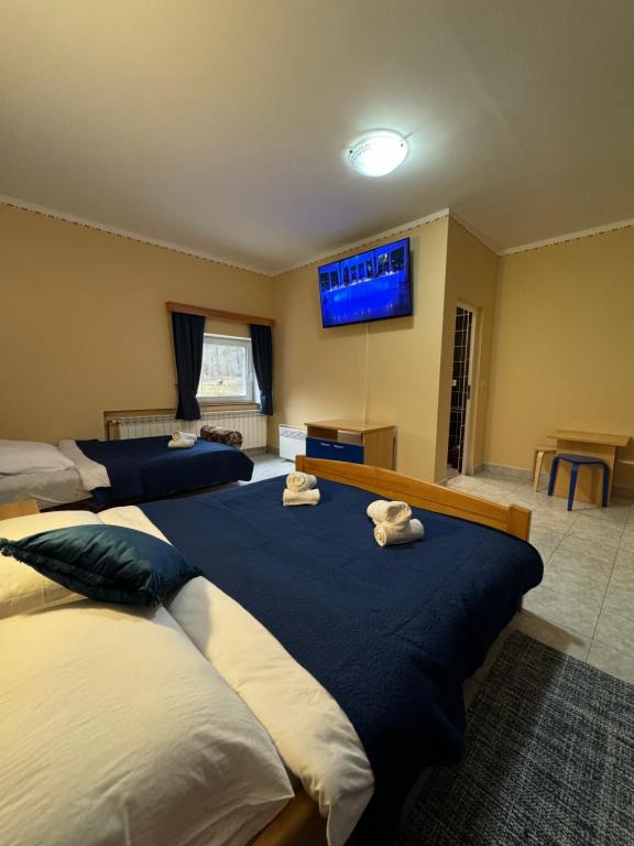 two beds in a room with a tv on the wall at Divlje vode in Stojdraga