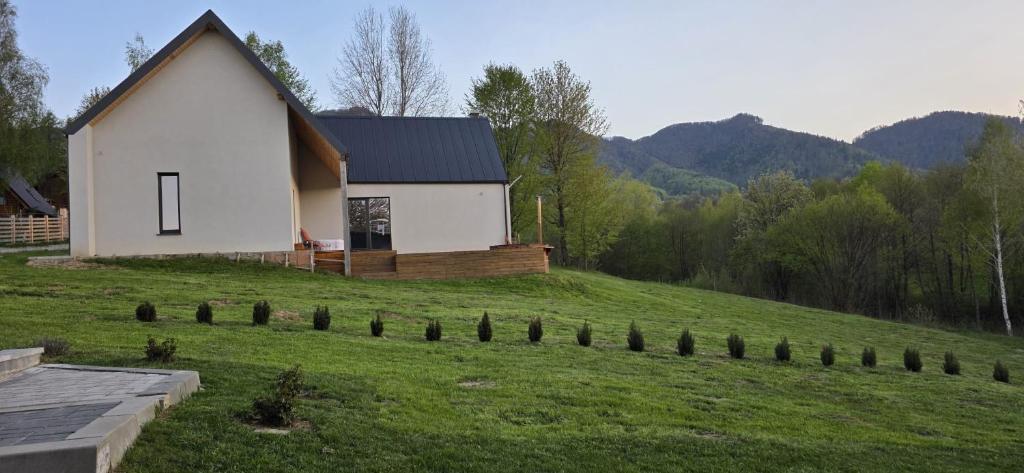 a white house on top of a green field at Blue Moon in Zărneşti