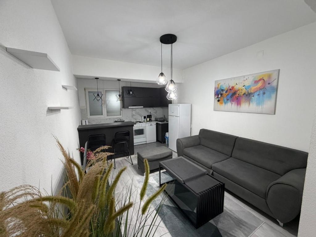 a living room with a couch and a kitchen at 24 Apartment in Strumica