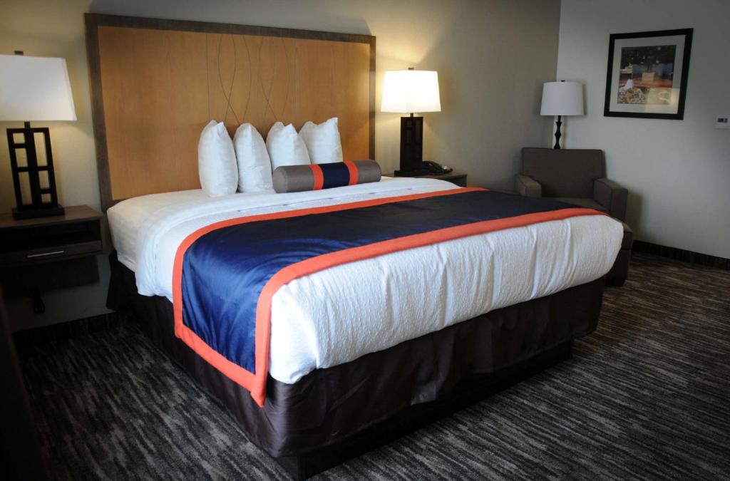 Best Western Plus Ardmore Inn & Suites - 带有滚动淋浴的国王室 - 残疾人
