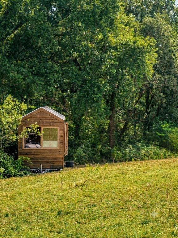 a small cabin in the middle of a grass field at Tiny House en lisière de bois in Bastennes