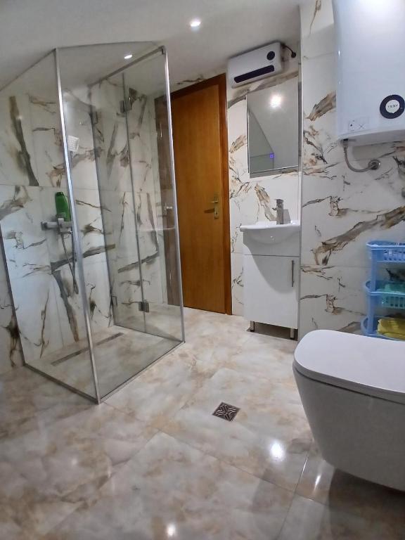 a bathroom with a shower and a toilet and a sink at Apartman Nature in Konjic