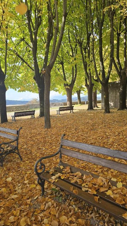 two park benches in a park with leaves on the ground at Cavour 92 in Alatri