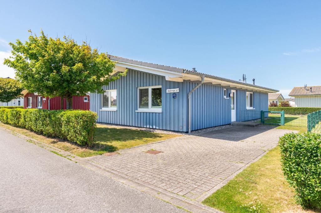 a blue building with a sidewalk in front of it at Ferienhaus Süderoog in Dagebüll