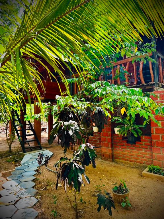 a plant in a garden with a brick building at Nethmini Leege Cottage in Kibissa