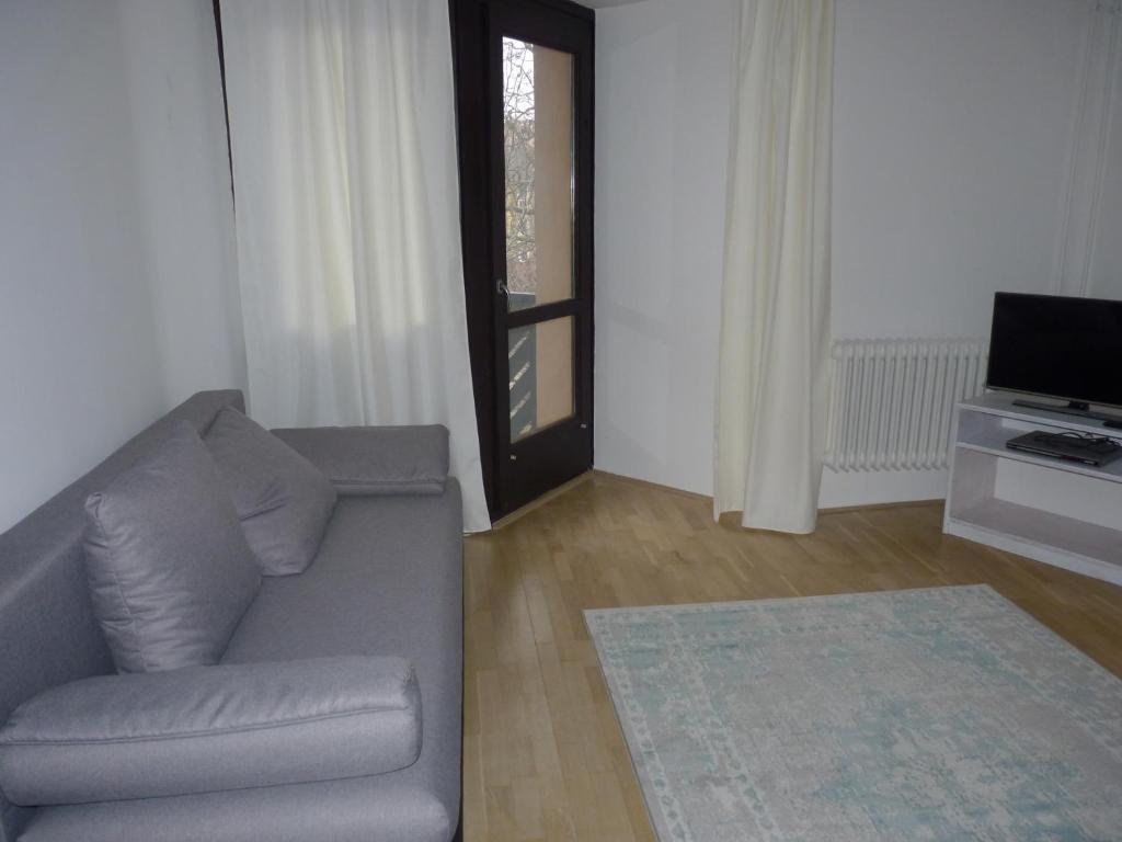 Televízia a/alebo spoločenská miestnosť v ubytovaní Balokány apartman