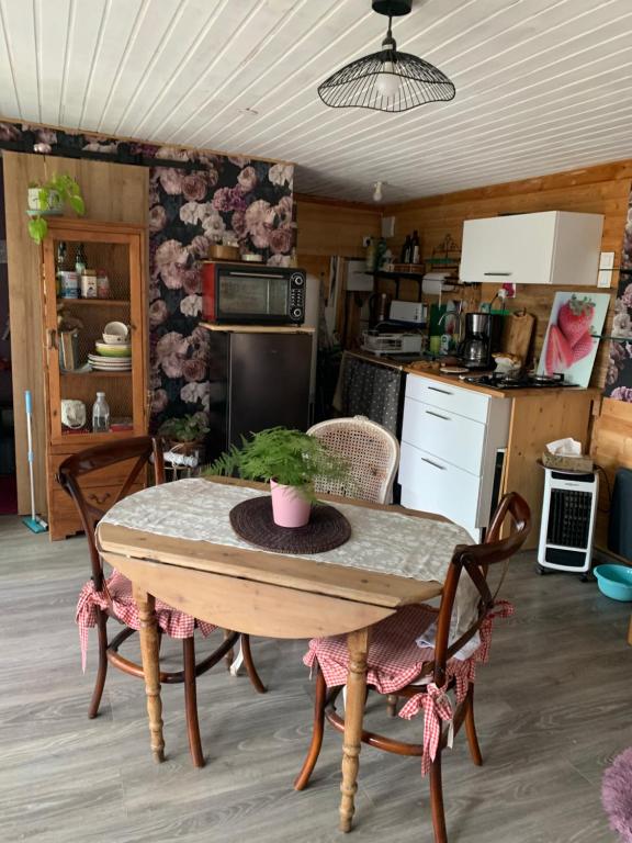 a kitchen with a table with a potted plant on it at Châlet de charme in Taillet