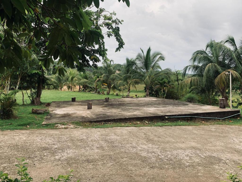 a large dirt field with palm trees in the background at Hostal Monte Verde in Zaragoza