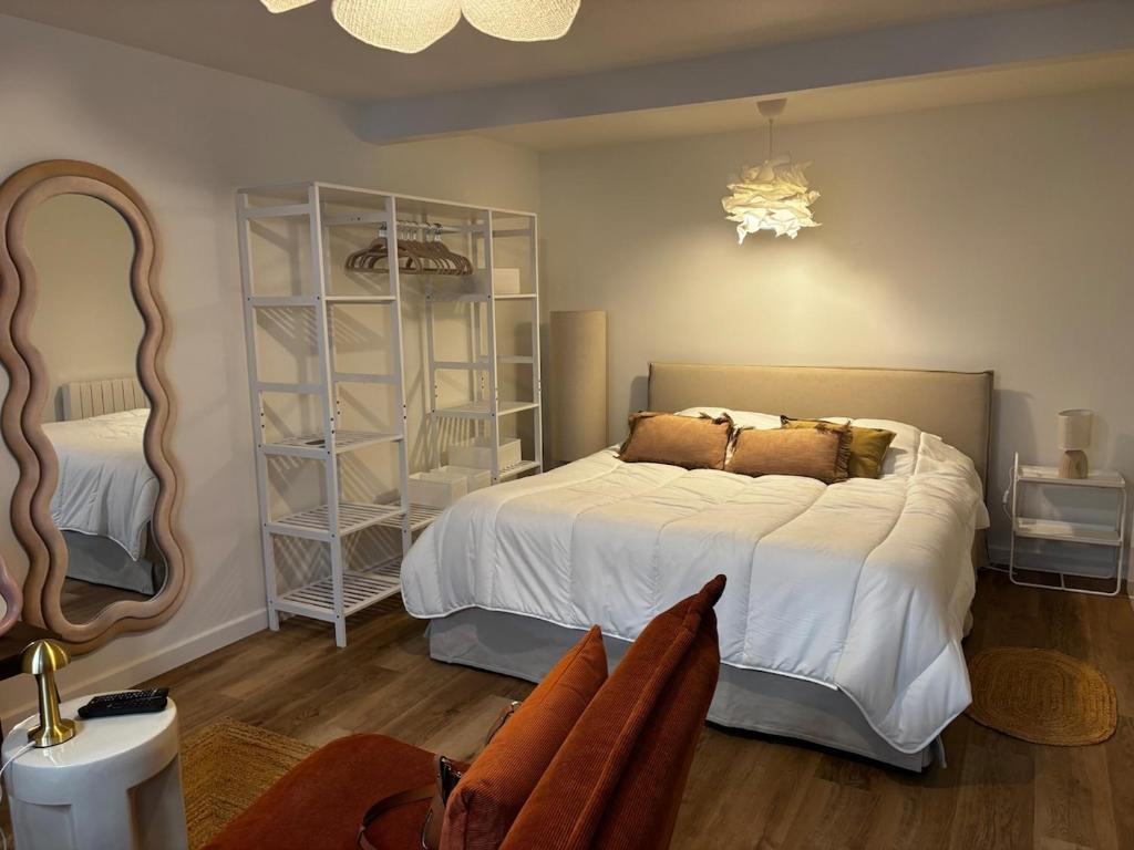 a bedroom with a large bed and a large mirror at La Parenthèse Meymacoise in Meymac
