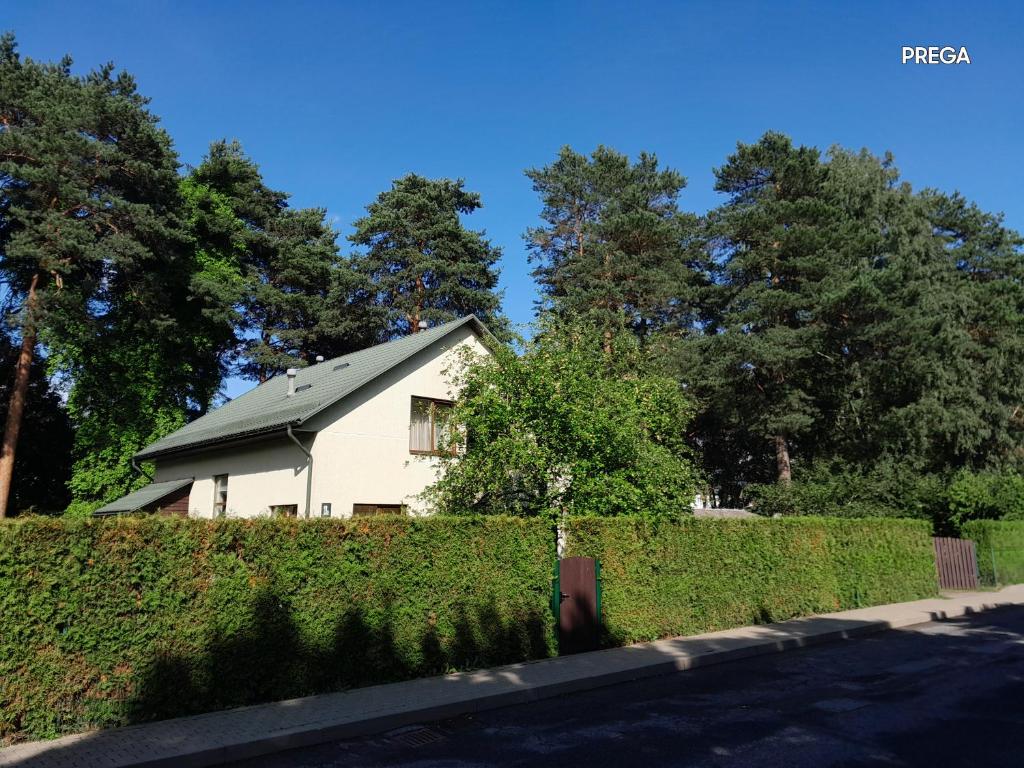 a white house with a fence and trees at Molly and Butter in Valmiera