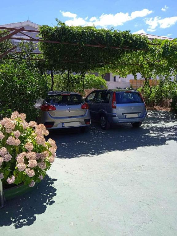 Guesthouse Brodarica (3814)