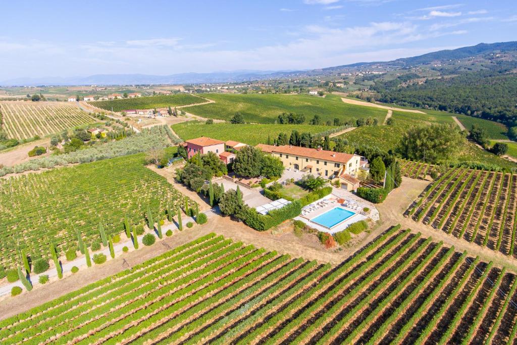 an aerial view of a villa in a vineyard at Agriturismo Luggiano in Vinci