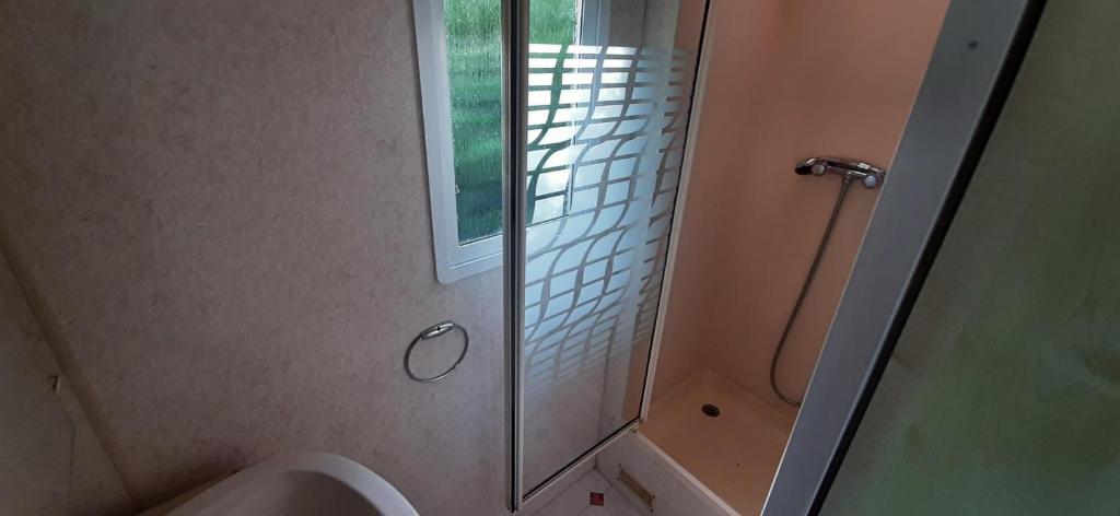 a bathroom with a shower and a toilet and a window at Mobil-Home location in Plougrescant