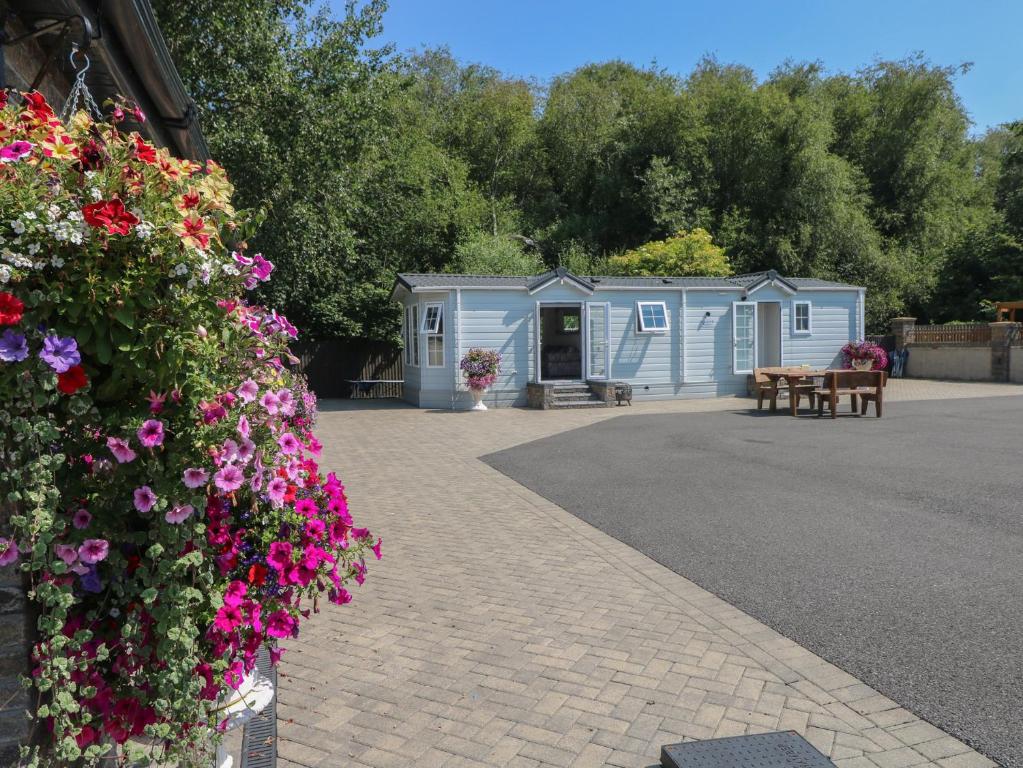 a couple of blue campsites with benches and flowers at Meadows Farm Lodge in Swansea