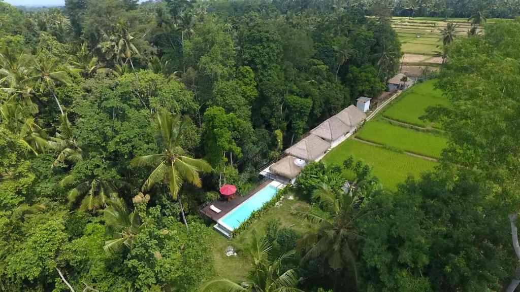 an aerial view of a resort with a pool and trees at Amara Giri Ubud View Villas in Ubud