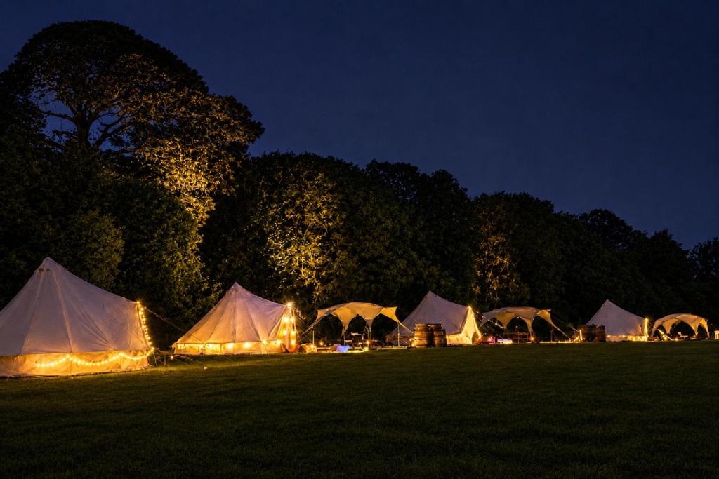 a group of tents in a field at night at West Holme Glamping in Wareham
