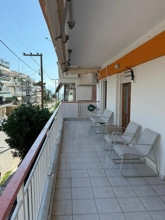 Olea Suite