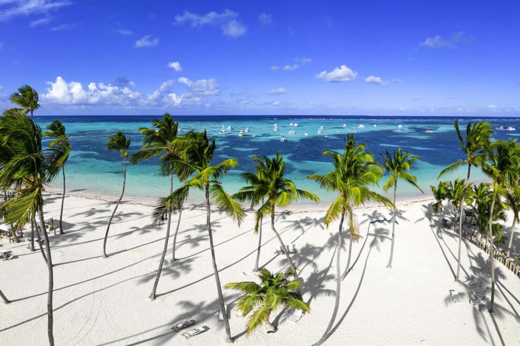 a view of a beach with palm trees and the ocean at Tropical Adventure Studios Suites HOTEL Beach CLUB & SPA in Punta Cana