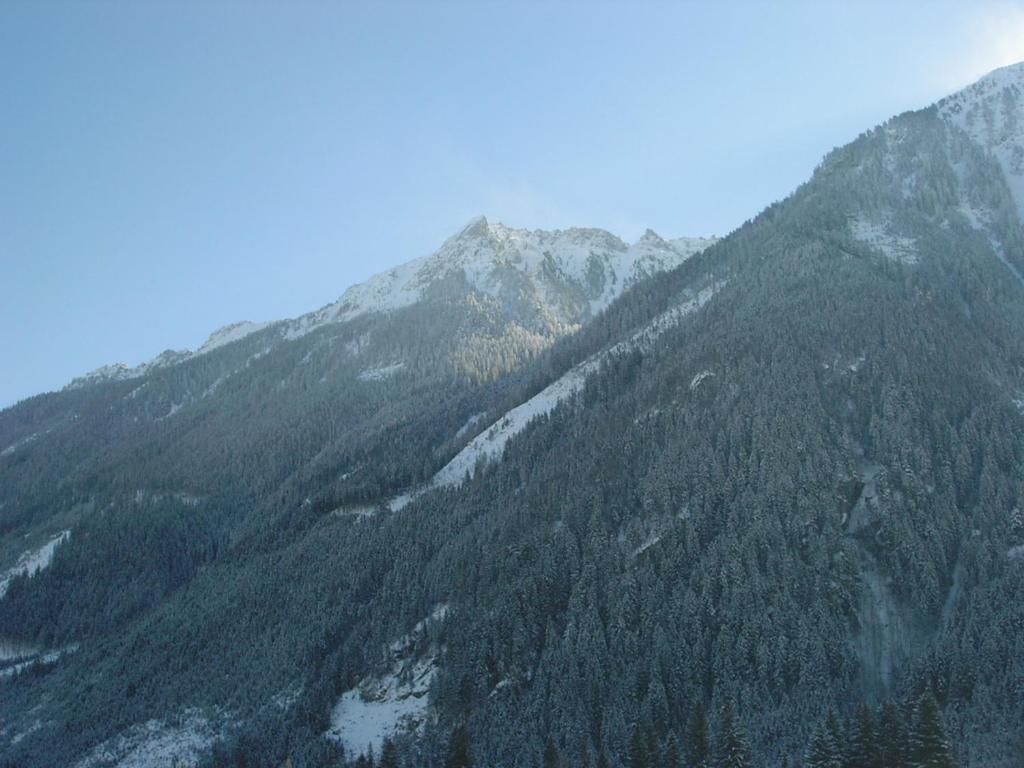 Appartement La Piazza - 11