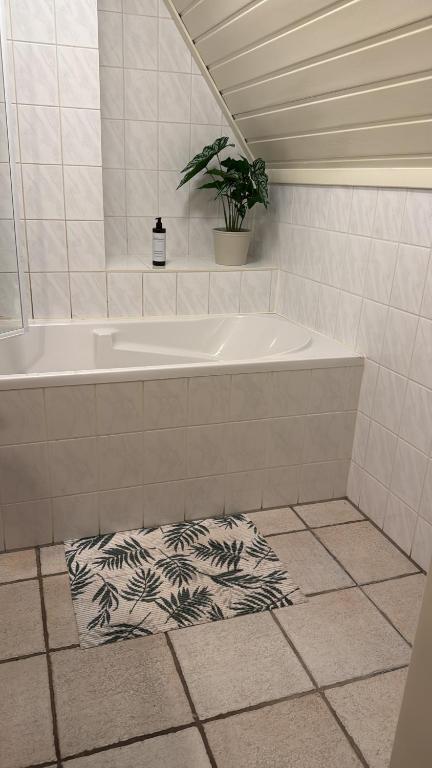 a bathroom with a tub and a plant on the floor at Caseo Gramsbergen in Gramsbergen