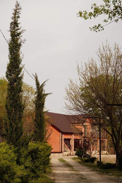 ein Haus mit einem Baum neben einer unbefestigten Straße in der Unterkunft Iora Winery in Sagarejo