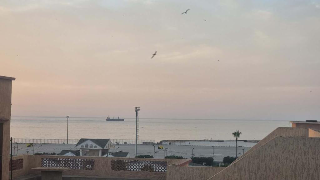 a bird flying in the sky over the ocean at Location salamandre in Mostaganem