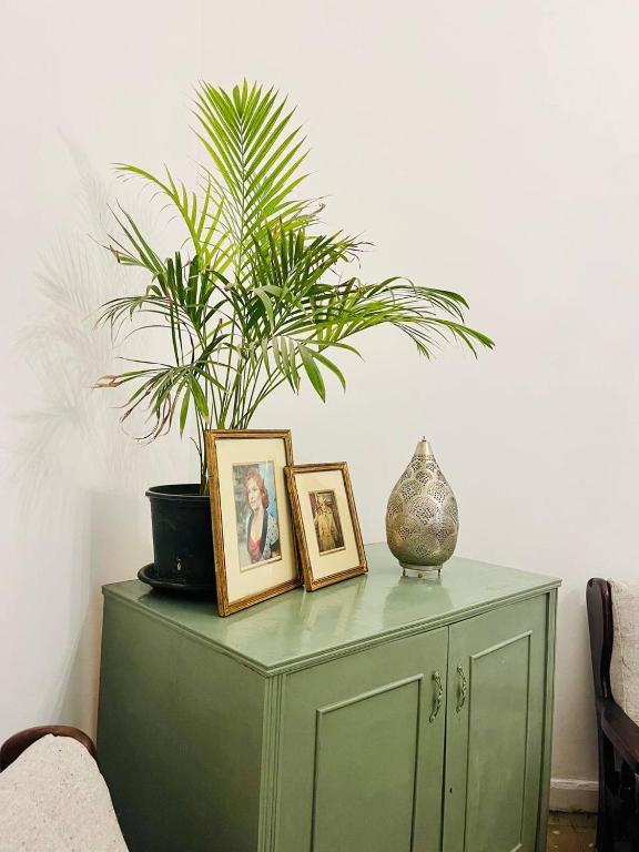 a green cabinet with pictures and a plant on it at Per-en in Cairo