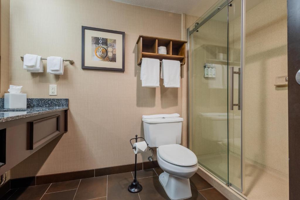 Holiday Inn South Jordan - SLC South by IHG - Camera King Standard Con Cabina Doccia