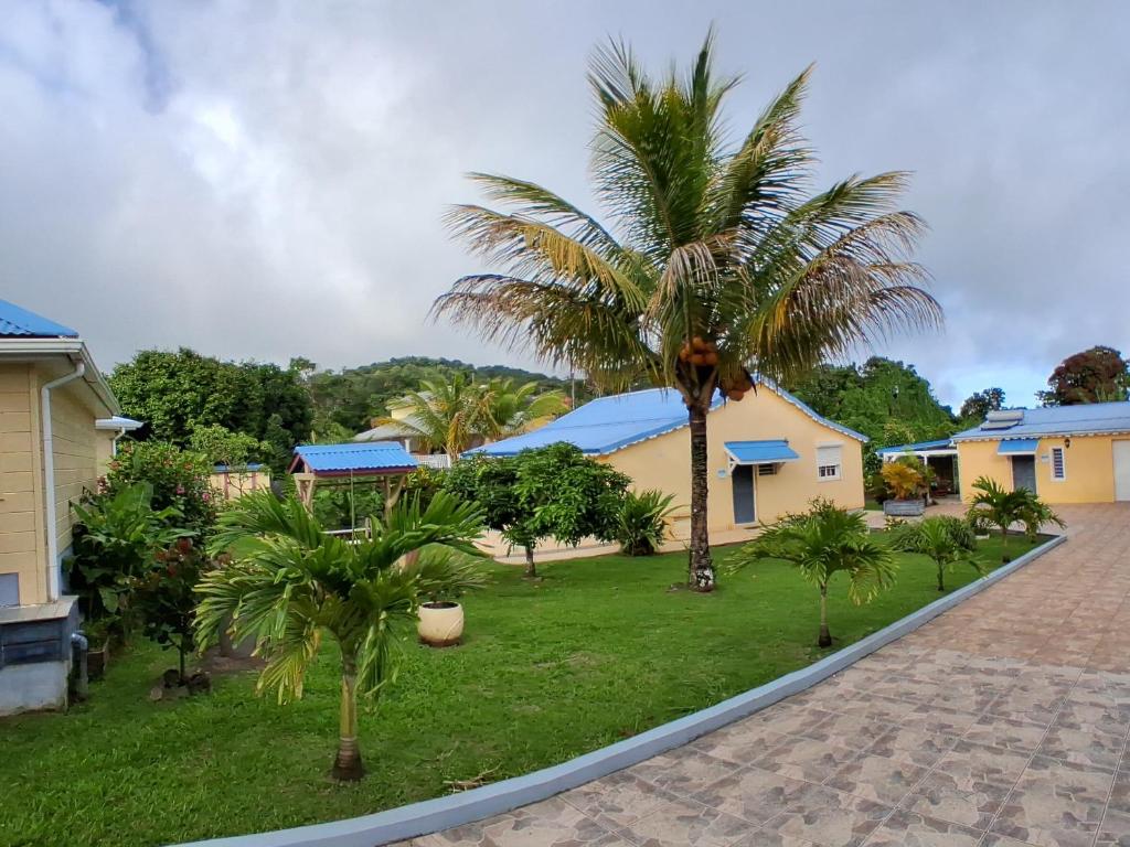 a yard with palm trees in front of a house at VILLA CREOLE in Gourbeyre