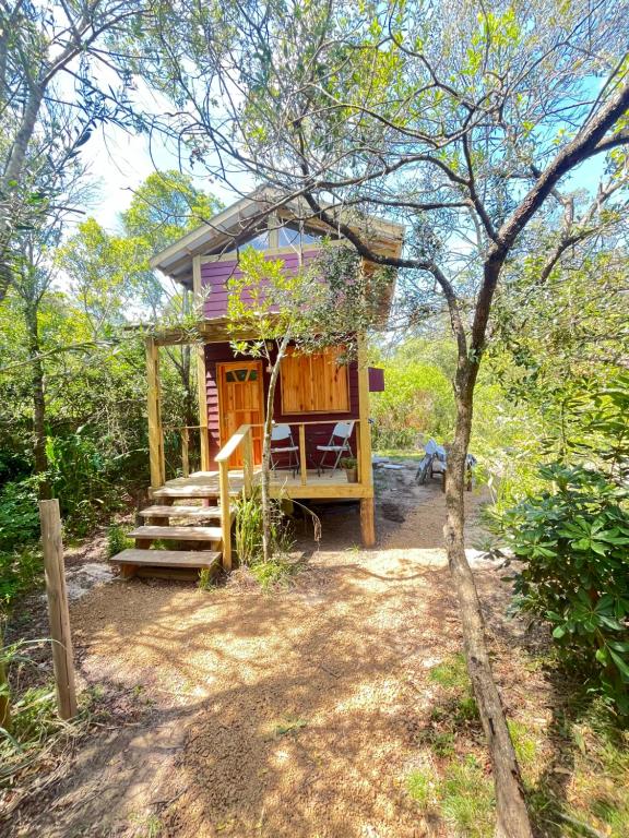a purple tiny house in the middle of a forest at Punta Negra - Cabañas Cacarelhos in Piriápolis