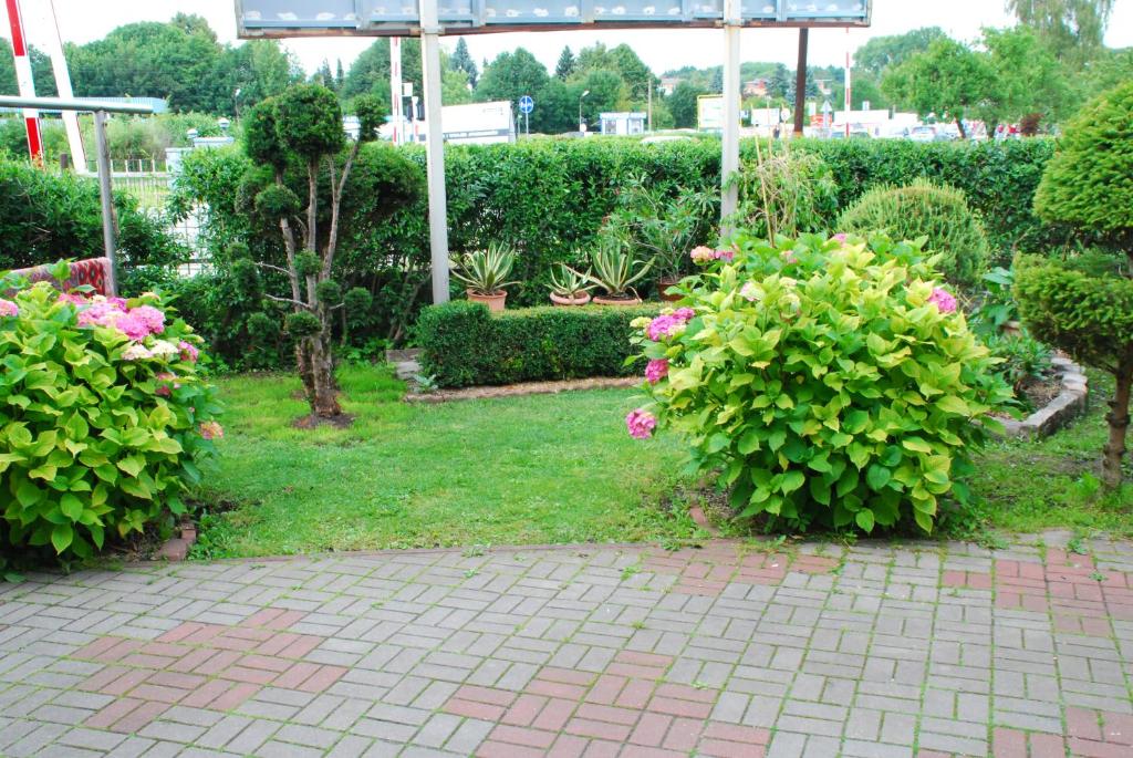 a garden with some pink flowers and bushes at Maryla in Kołobrzeg