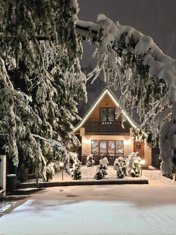 a house covered in snow in front of trees at Brvnara Mont in Zlatibor
