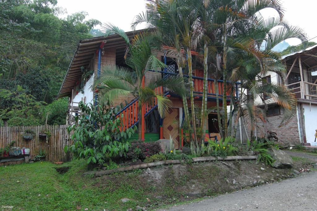 a house with a palm tree in front of it at Hostal El Bambú in Inzá