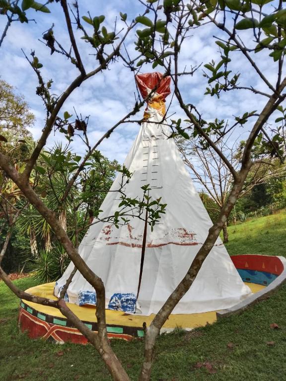 a kite sitting on top of a boat in a tree at Tipis Cuetzalan in Cuetzalán del Progreso