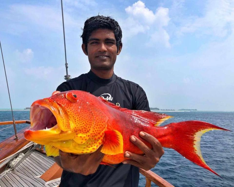 Sunny Day Inn Maldives - View 31