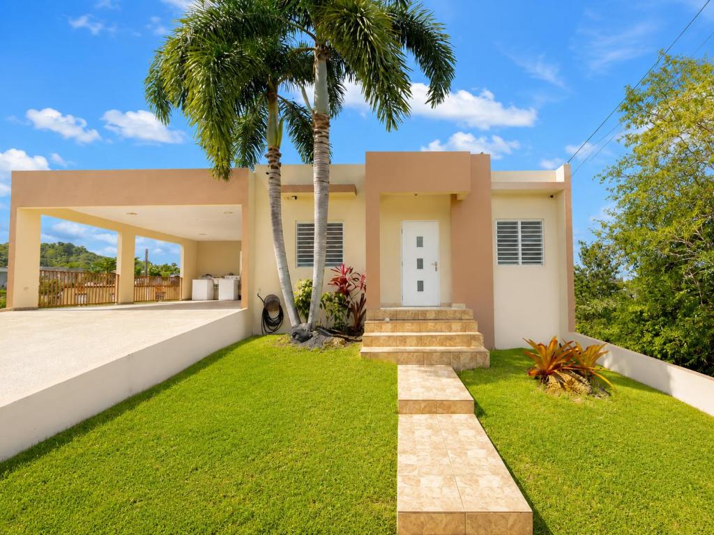 a house with a palm tree in front of it at Arenales Guest House in Isabela