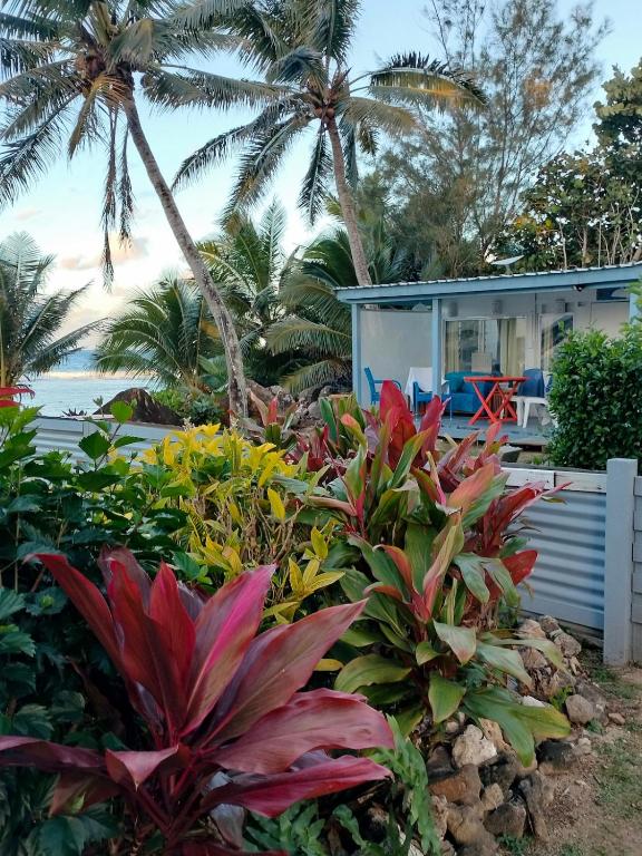 a house on the beach with palm trees and plants at Heron's Reef Beach Shack Matavera in Matavera