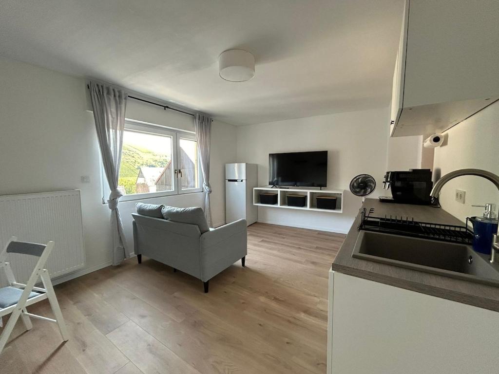 a kitchen and living room with a couch and a television at FeWo - An Fluss und Weinberg in Briedel